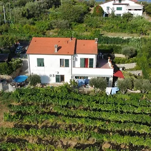 In Vino Veritas Nocleg ze śniadaniem